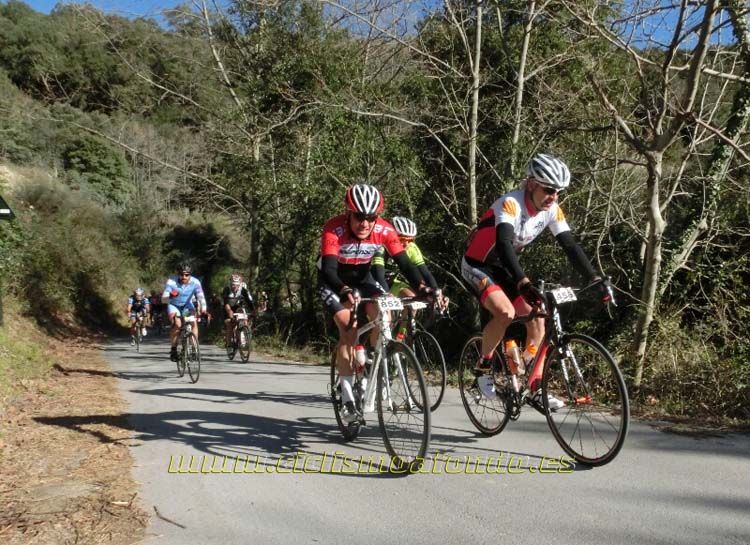 Ports Maresme 2014-3