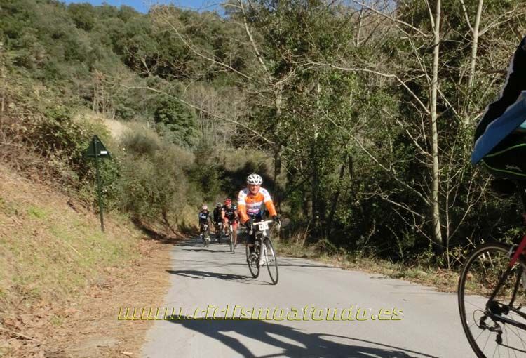 Ports Maresme 2014-3