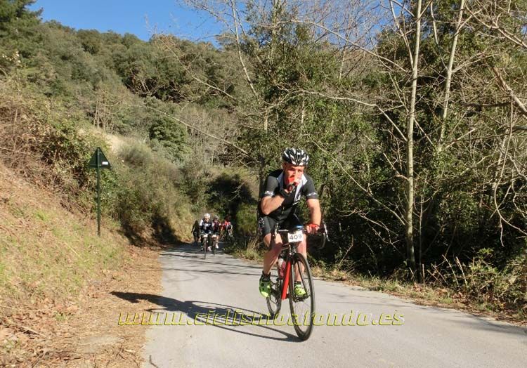 Ports Maresme 2014-3
