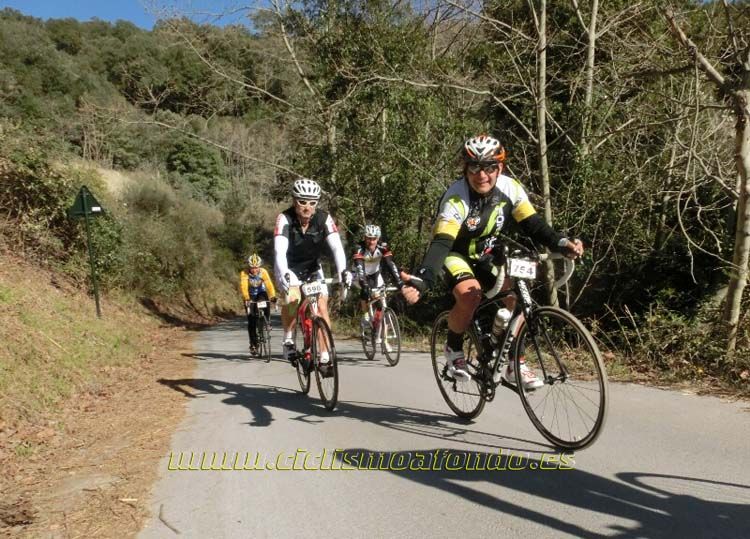 Ports Maresme 2014-3