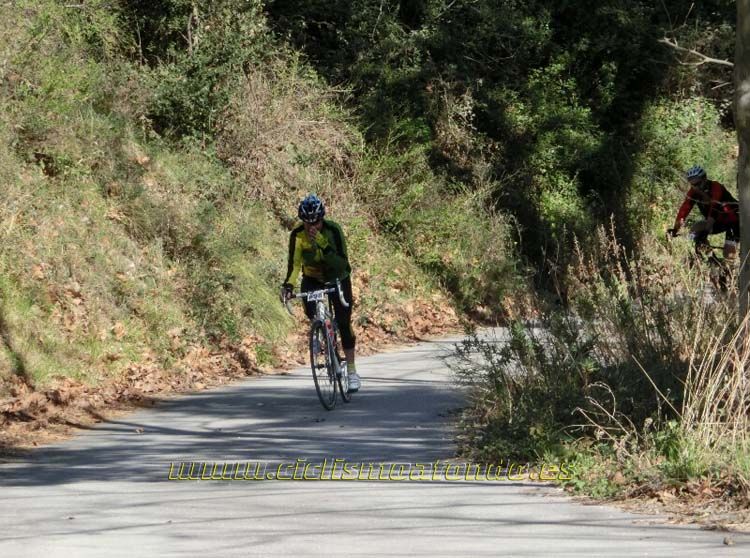 Ports Maresme 2014-3