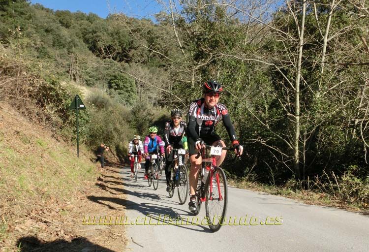 Ports Maresme 2014-3