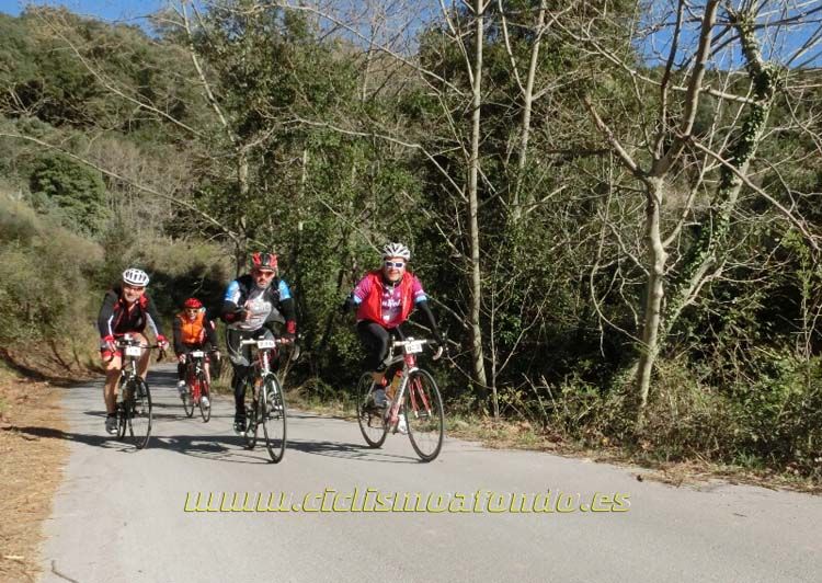 Ports Maresme 2014-3