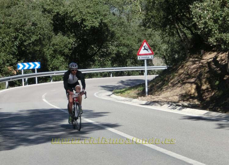 Ports Maresme 2014-3