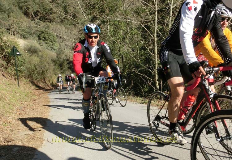 Ports Maresme 2014-3