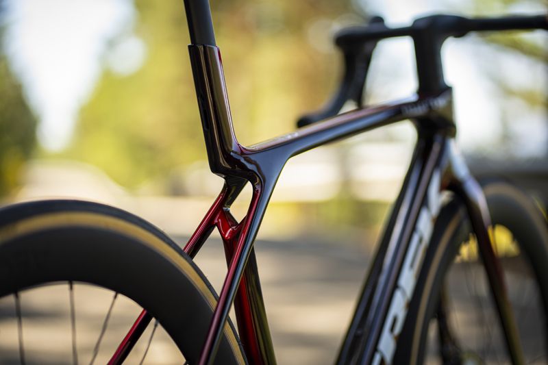 Estudio Trek Madone Gen 8  (3)