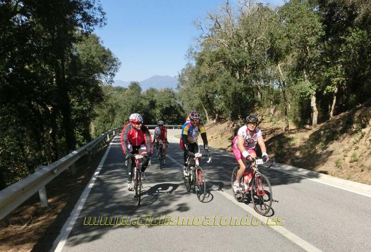 Ports Maresme 2014-3