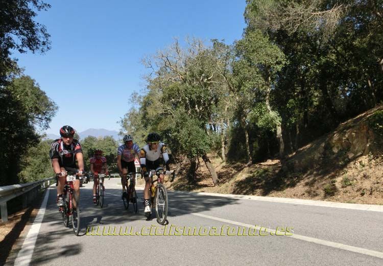 Ports Maresme 2014-3