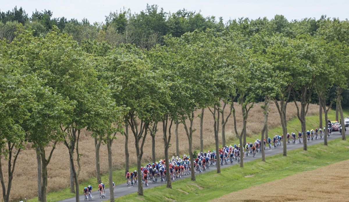 El pelotón del Tour, durante el inicio de la novena etapa