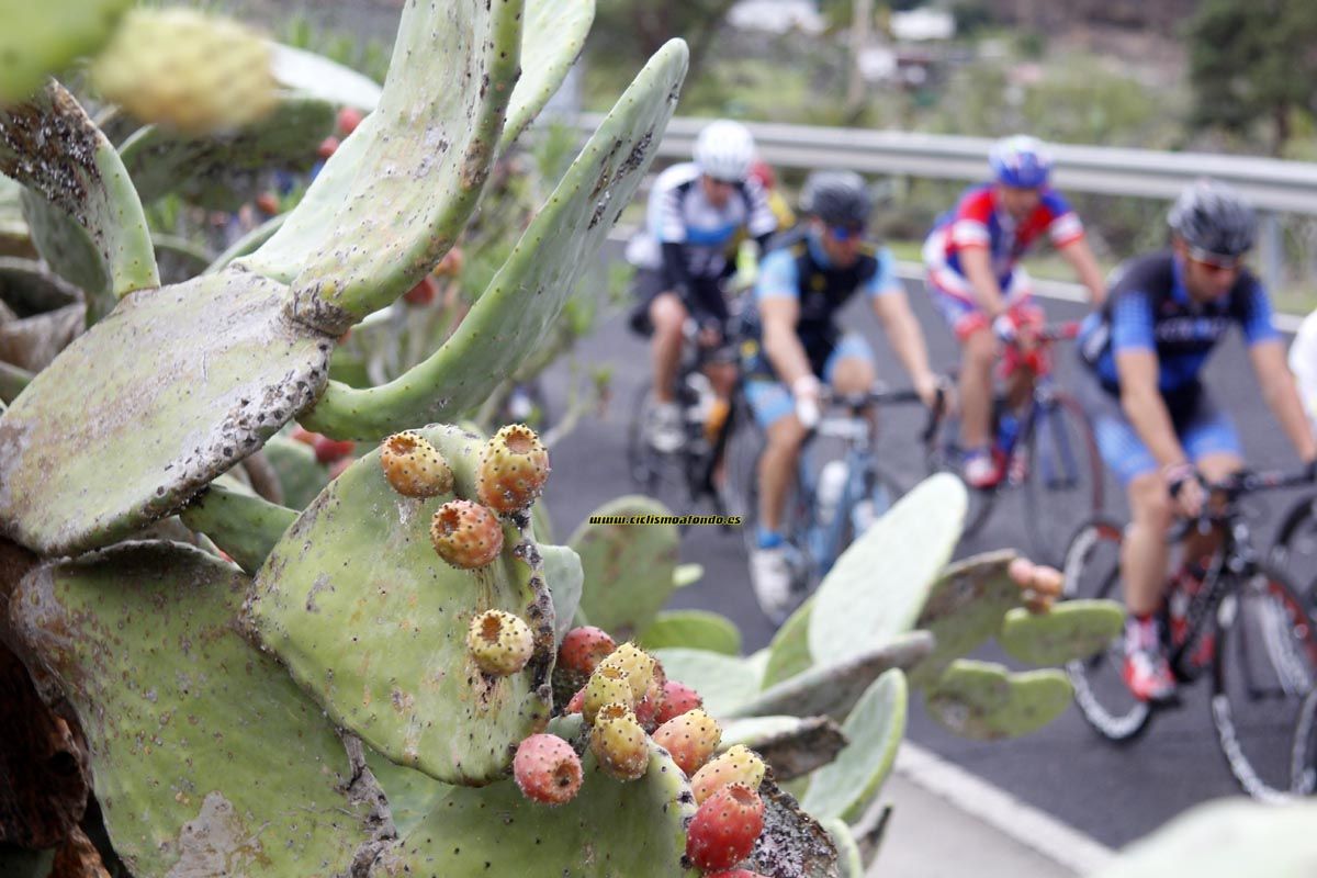 La Cicloturista 2014_2