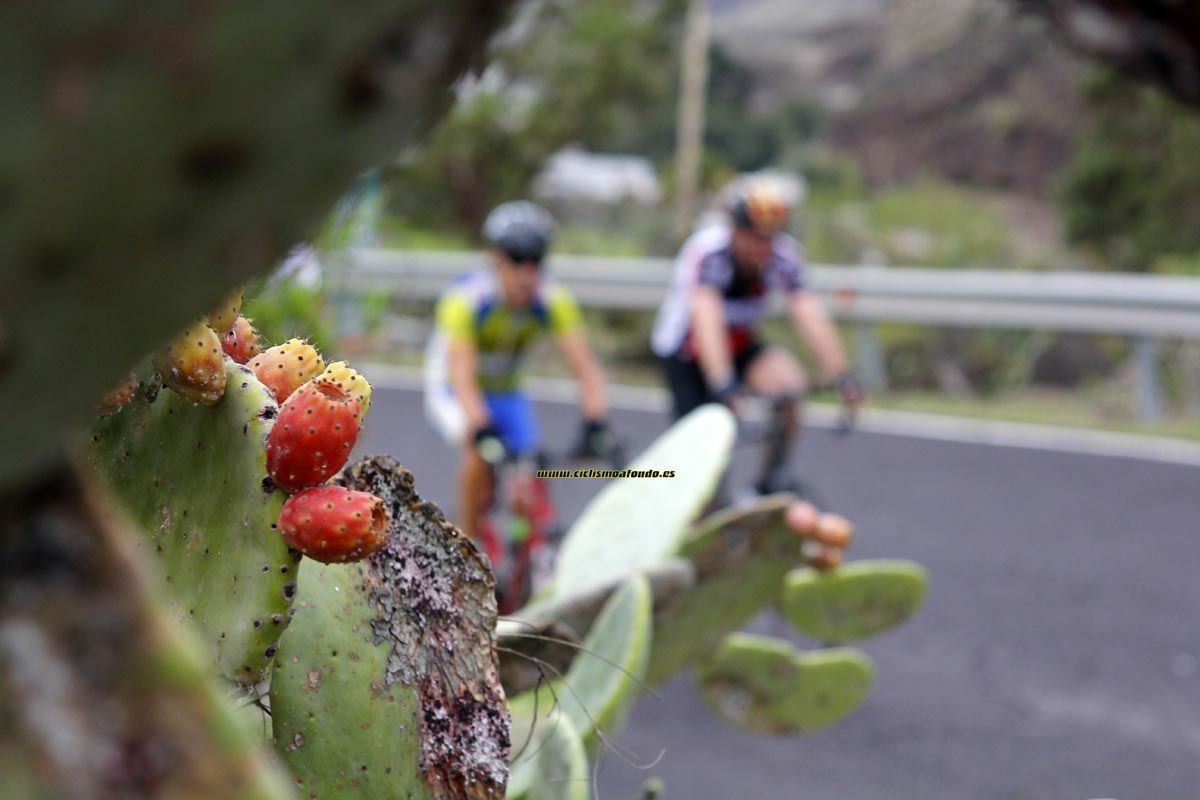 La Cicloturista 2014_2