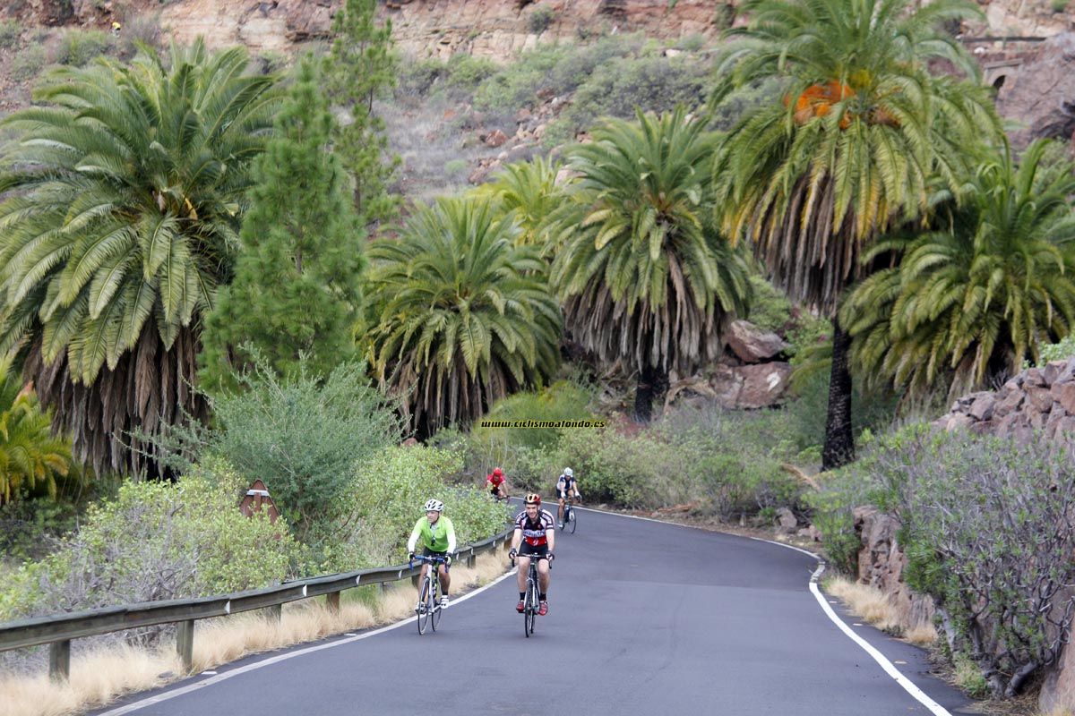 La Cicloturista 2014_2