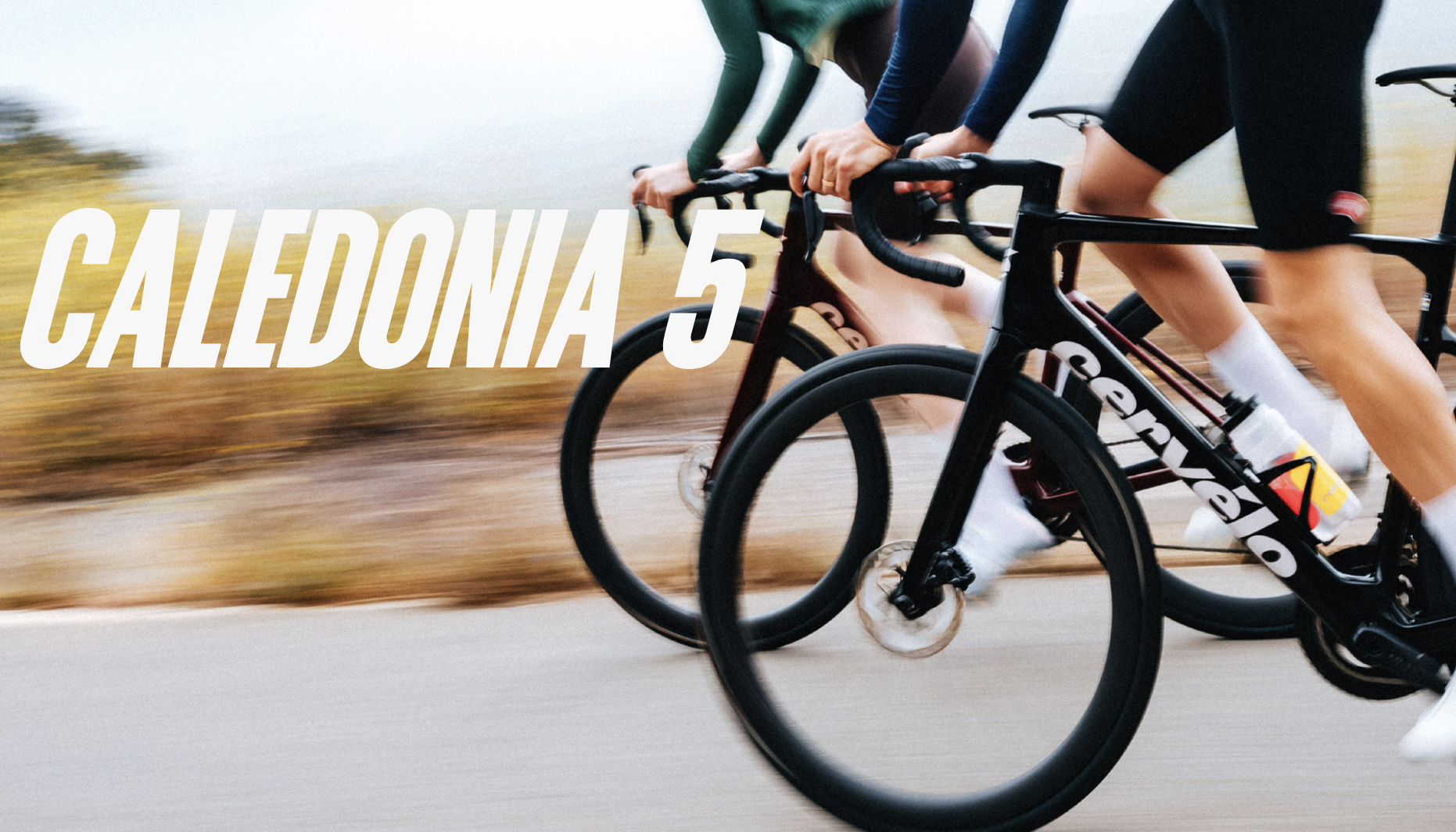 Así es la nueva CERVÉLO CALEDONIA 5.