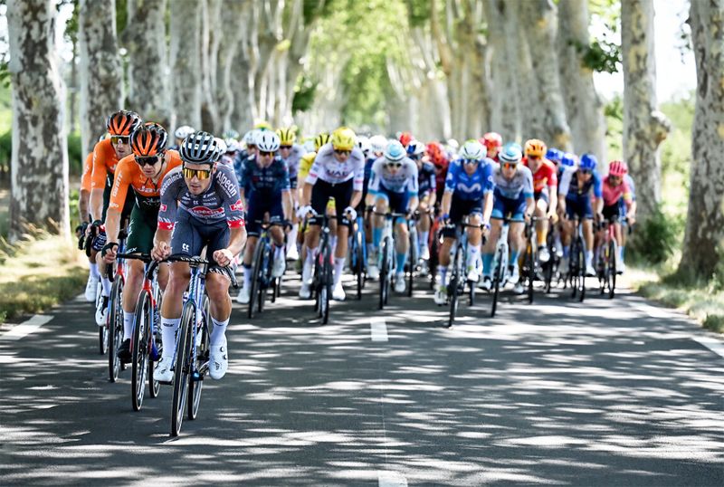 Peloton durante el Tour de Francia
