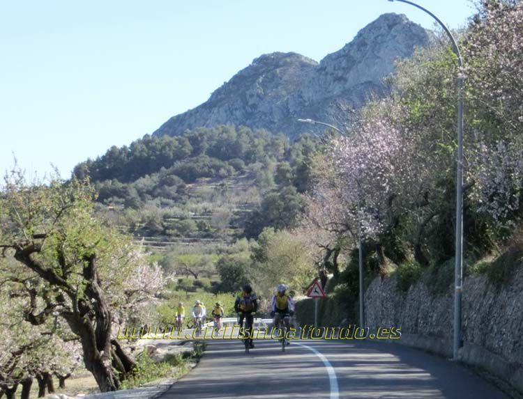 Campus Chozas 2014_03