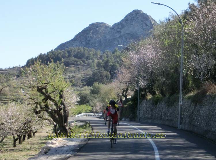 Campus Chozas 2014_03