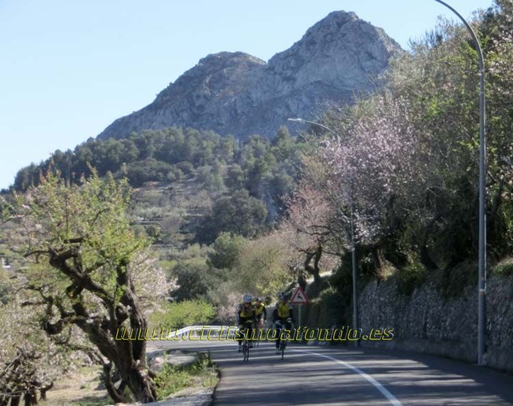 Campus Chozas 2014_03