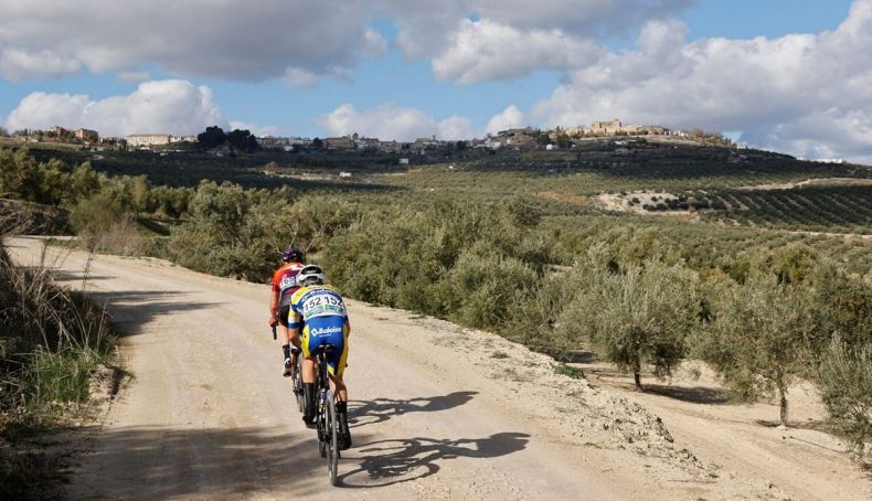 los caminos de olivos volveran a ser protagonistas de la carrera andaluza 2 790x454 los caminos de olivos volveran a ser protagonistas de la carrera andaluza 2 790x454