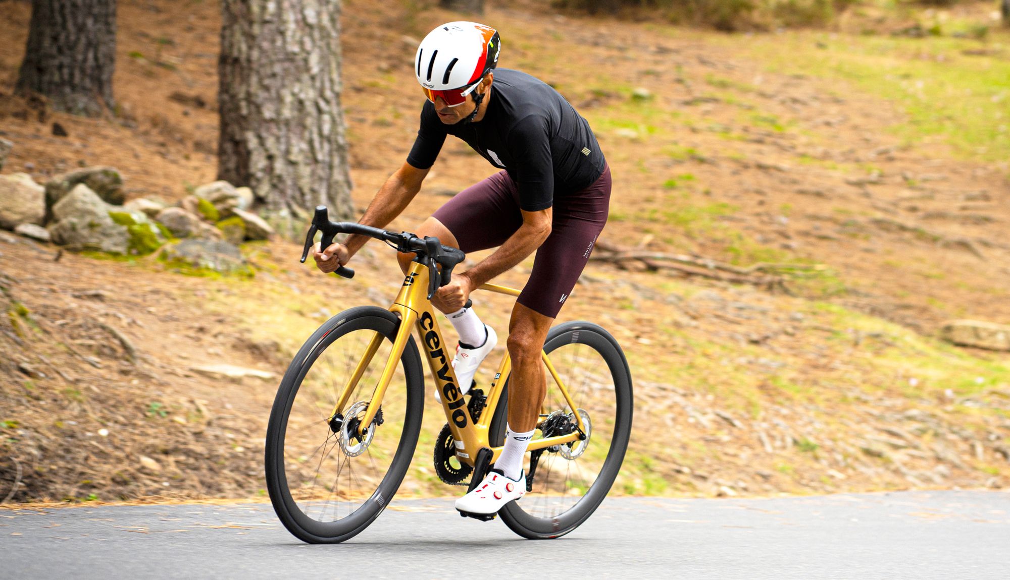 Cervélo Soloist Ultegra Di2