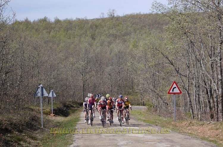 Kedada Urrez Campagnolo_01