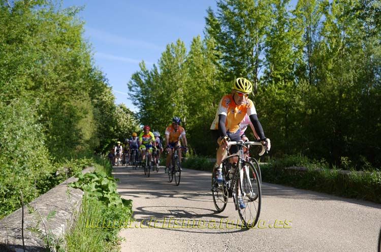 Kedada Urrez Campagnolo_01