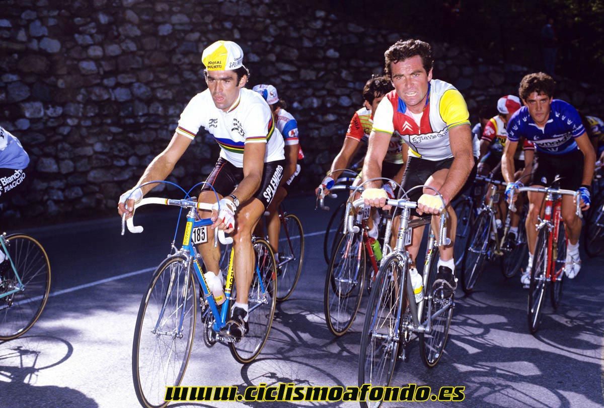 25 mejores fotos de Bernard Hinault