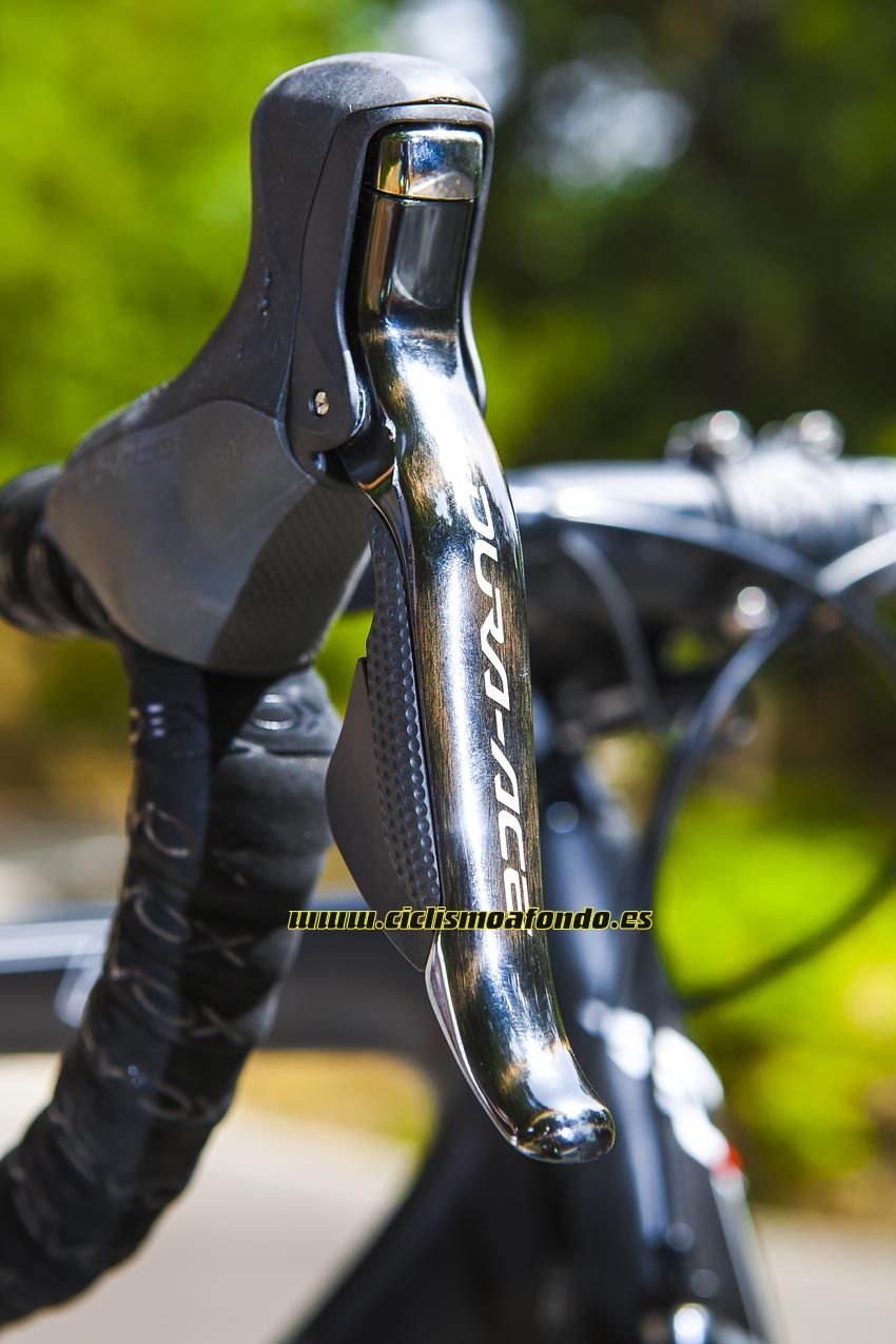Gran Prueba: Felt F1