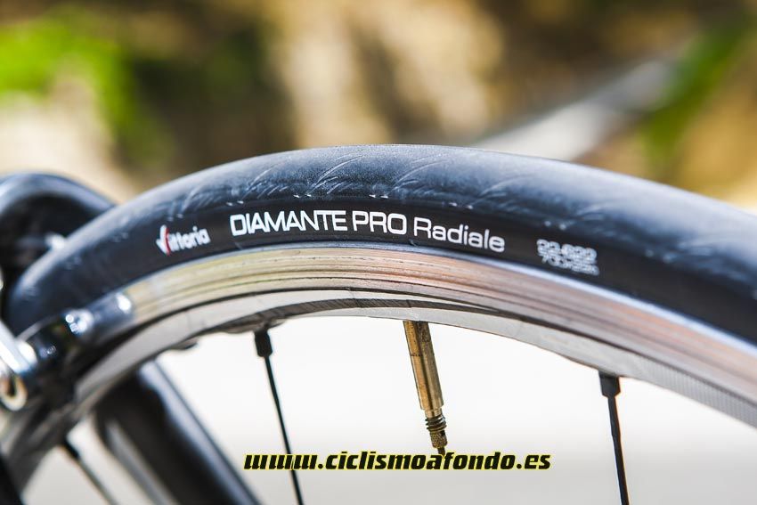 Gran Prueba: Felt F1
