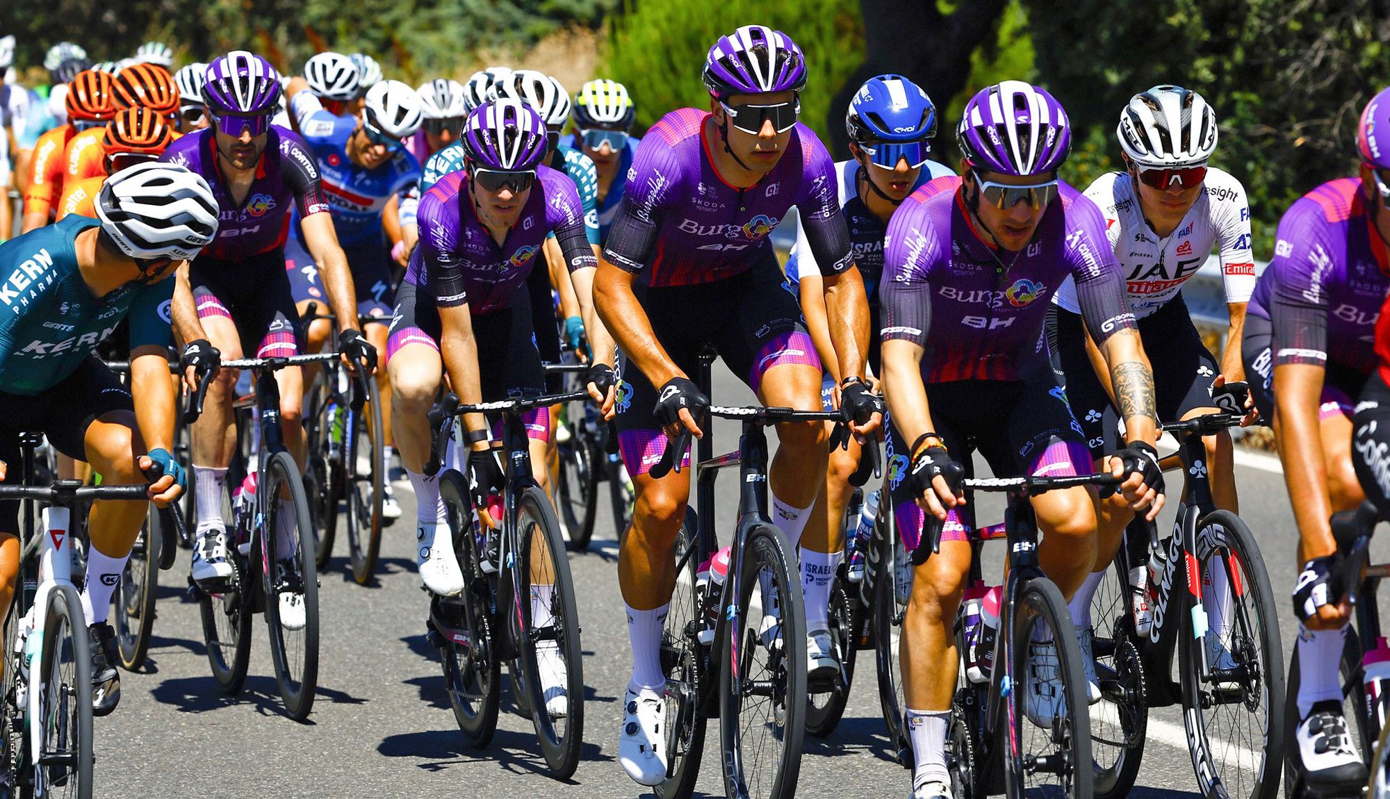 Okamika, Sinuhé, Fuentes y Angulo, algunos de los ciclistas morados que seguirán en el Burgos-BH en 2025