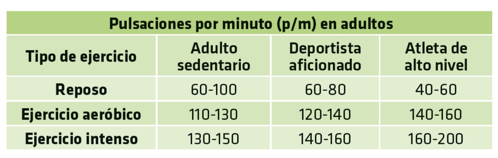 Frecuencia cardiaca. Cómo se ve afectada por la edad. Detalle