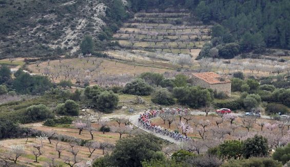 Gran Premio Castellón 2025. Foto: Sprint Cycling Agency 