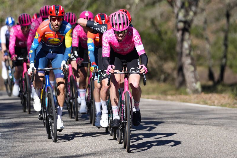 Peloton Peloton