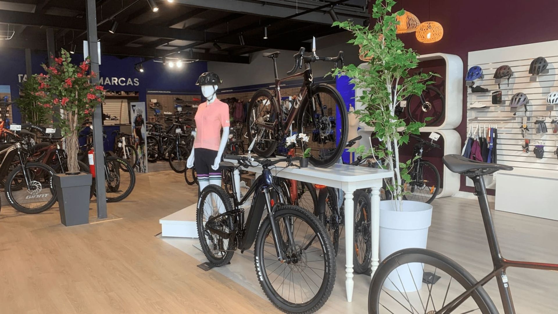 Pedro Delgado inaugura la nueva Giant Store de Cartagena