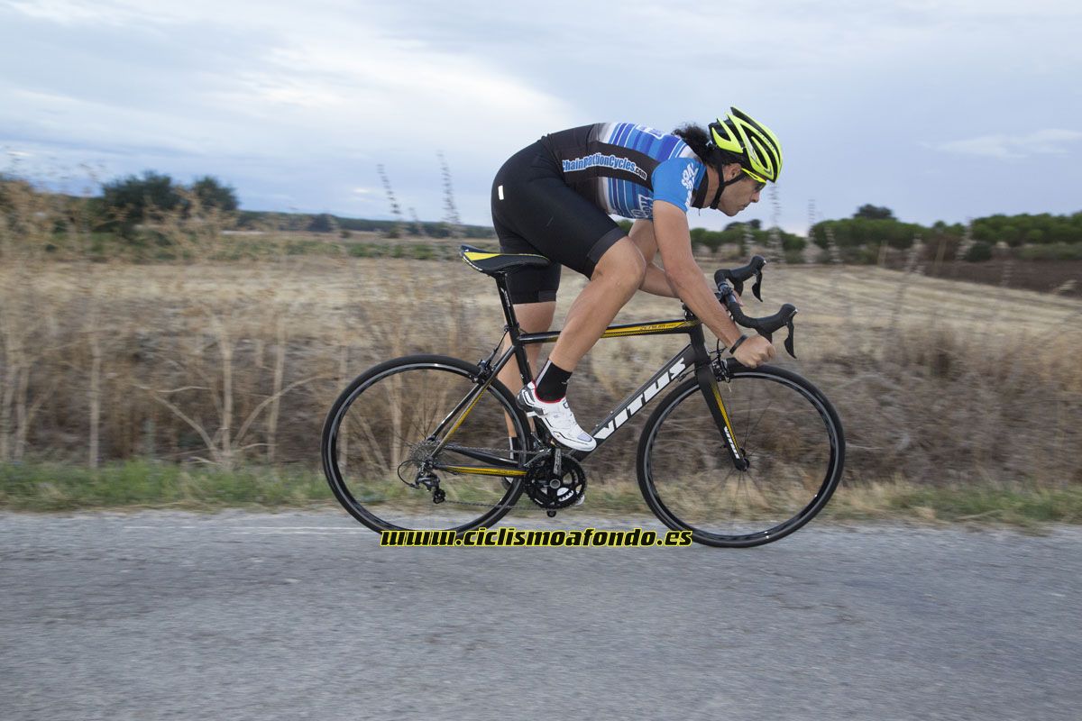 Vitus Zenium VRS