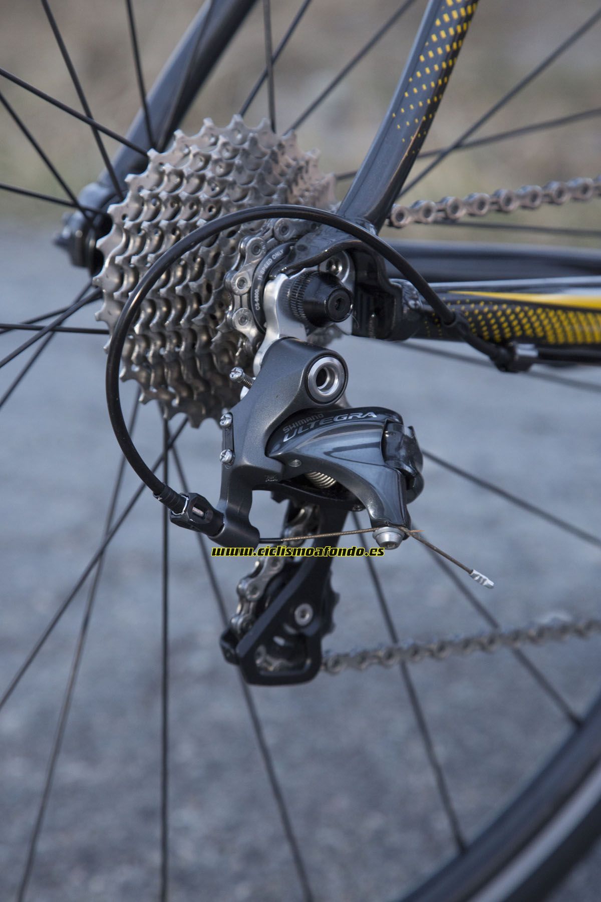 Vitus Zenium VRS