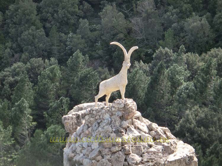 Marxa Terres del Ebre