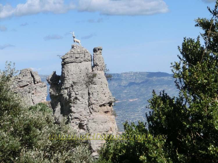 Marxa Terres del Ebre
