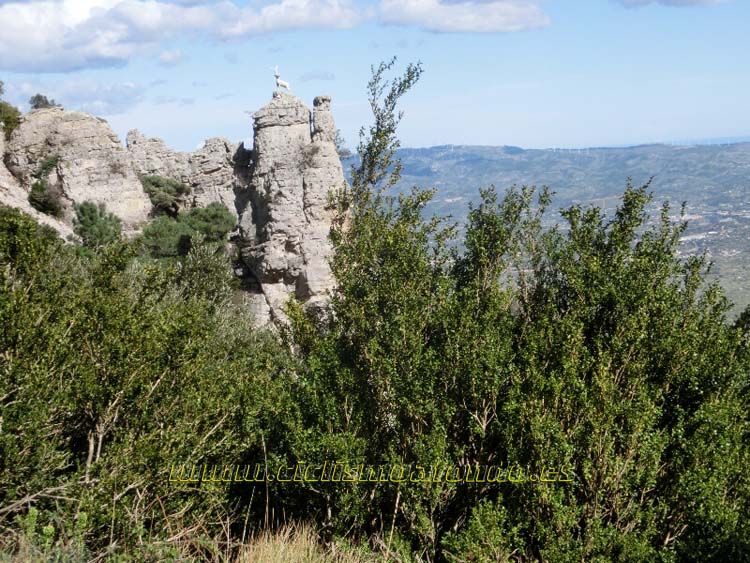 Marxa Terres del Ebre