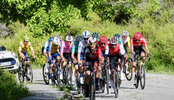 Foto: Real Federación Española de Ciclismo.