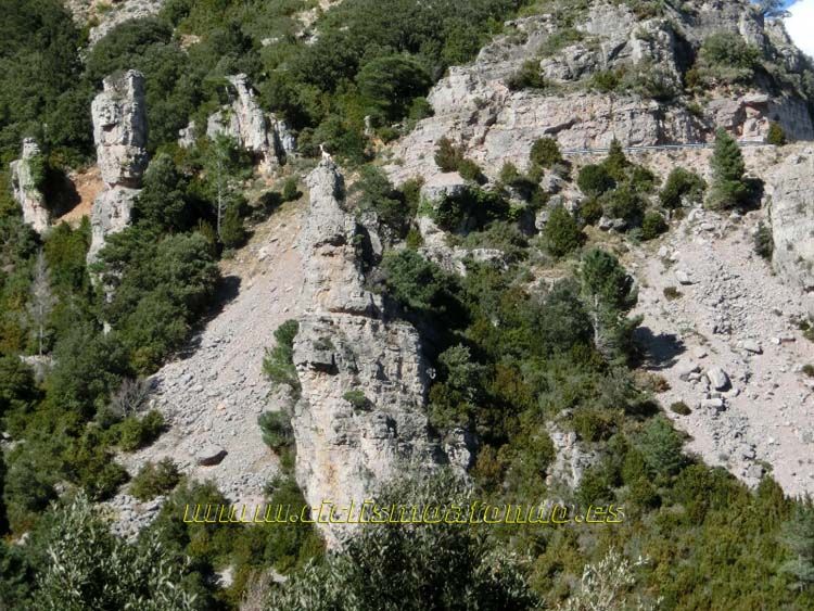 Marxa Terres del Ebre