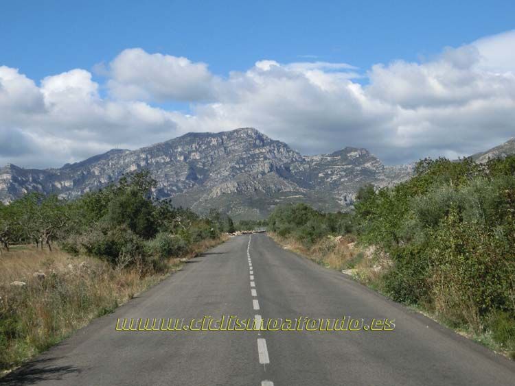 Marxa Terres del Ebre