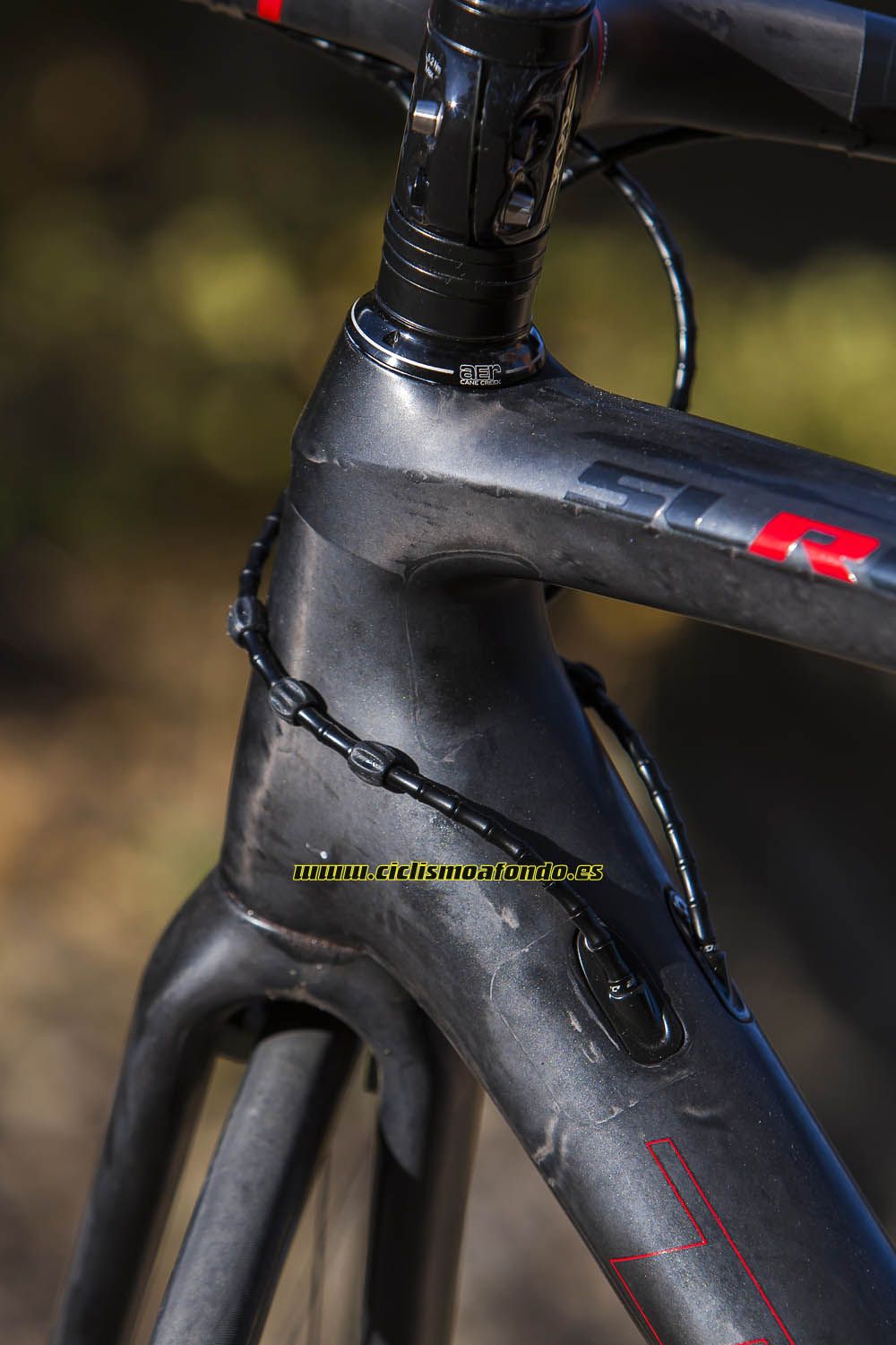 Imágenes prueba: Trek Emonda SLR 10