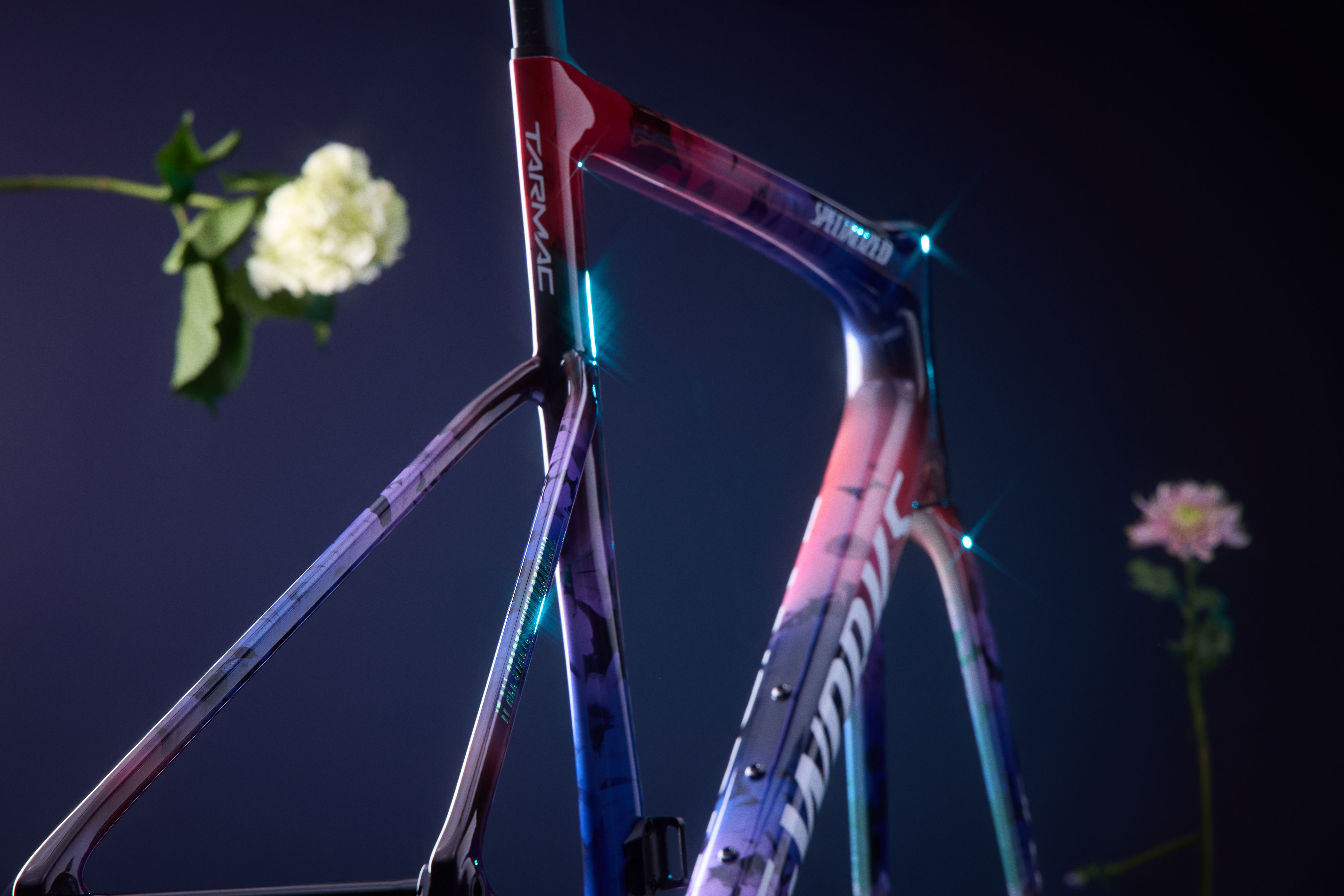 ROAD 9842 PRESS 2025 Demi LTD SW Tarmac Frameset 2 ROAD 9842 PRESS 2025 Demi LTD SW Tarmac Frameset 2