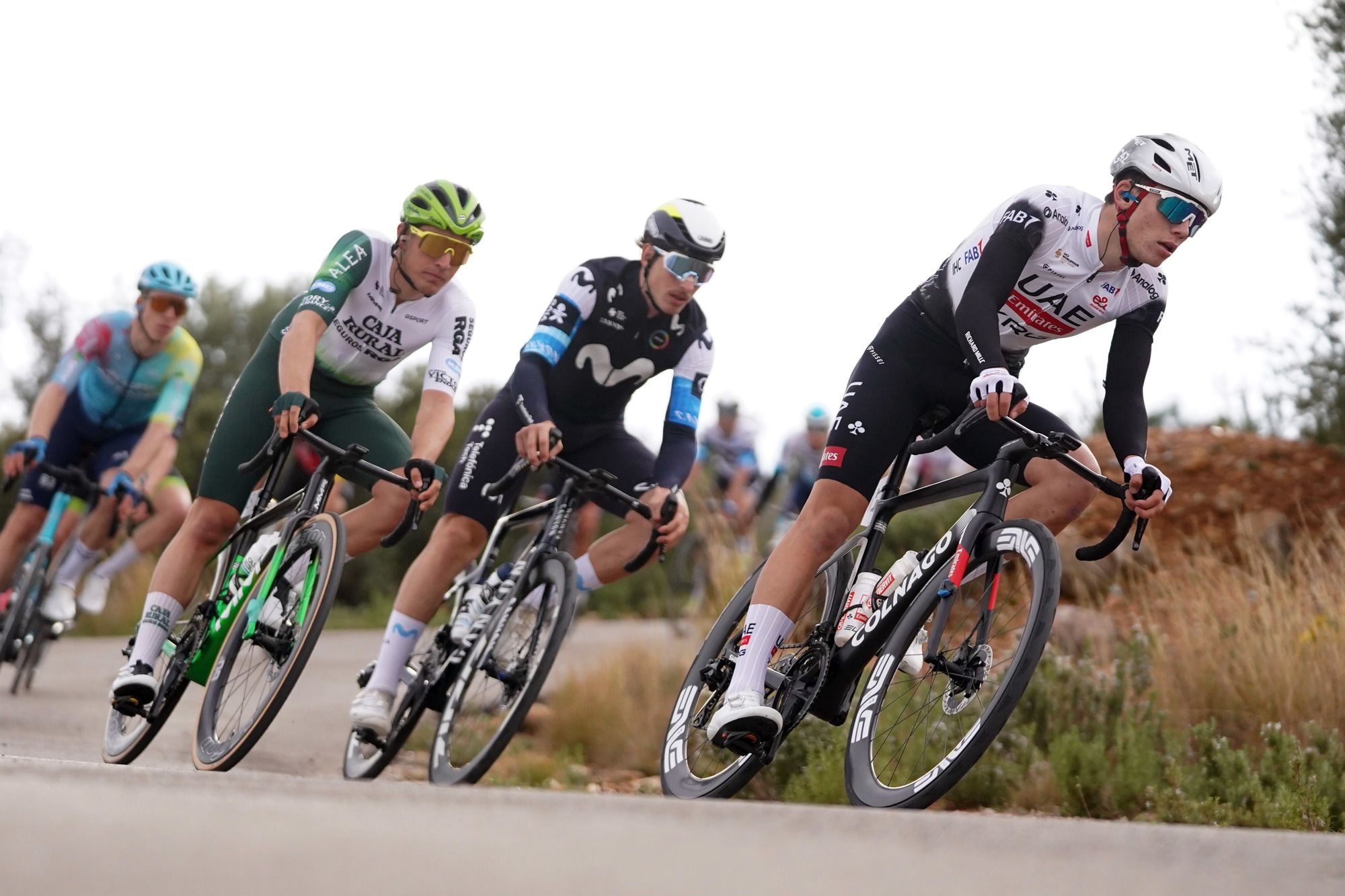 sprintcyclingagency 0876517 1 2000px