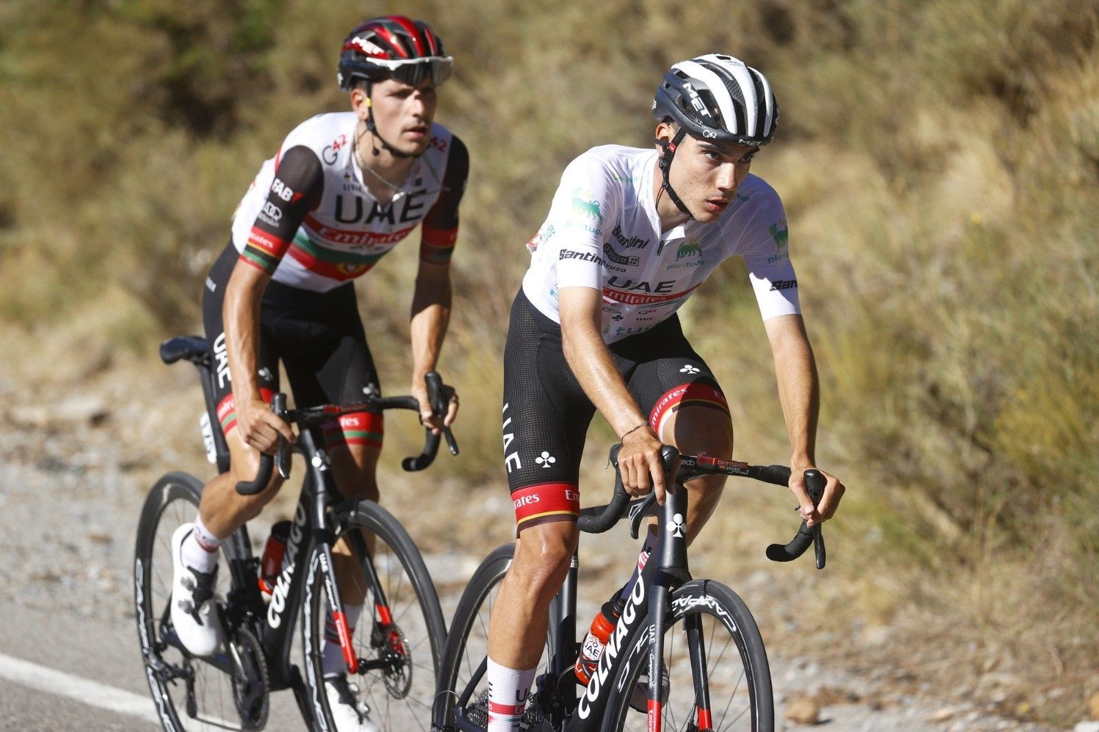 Juan Ayuso y Joao Almeida
