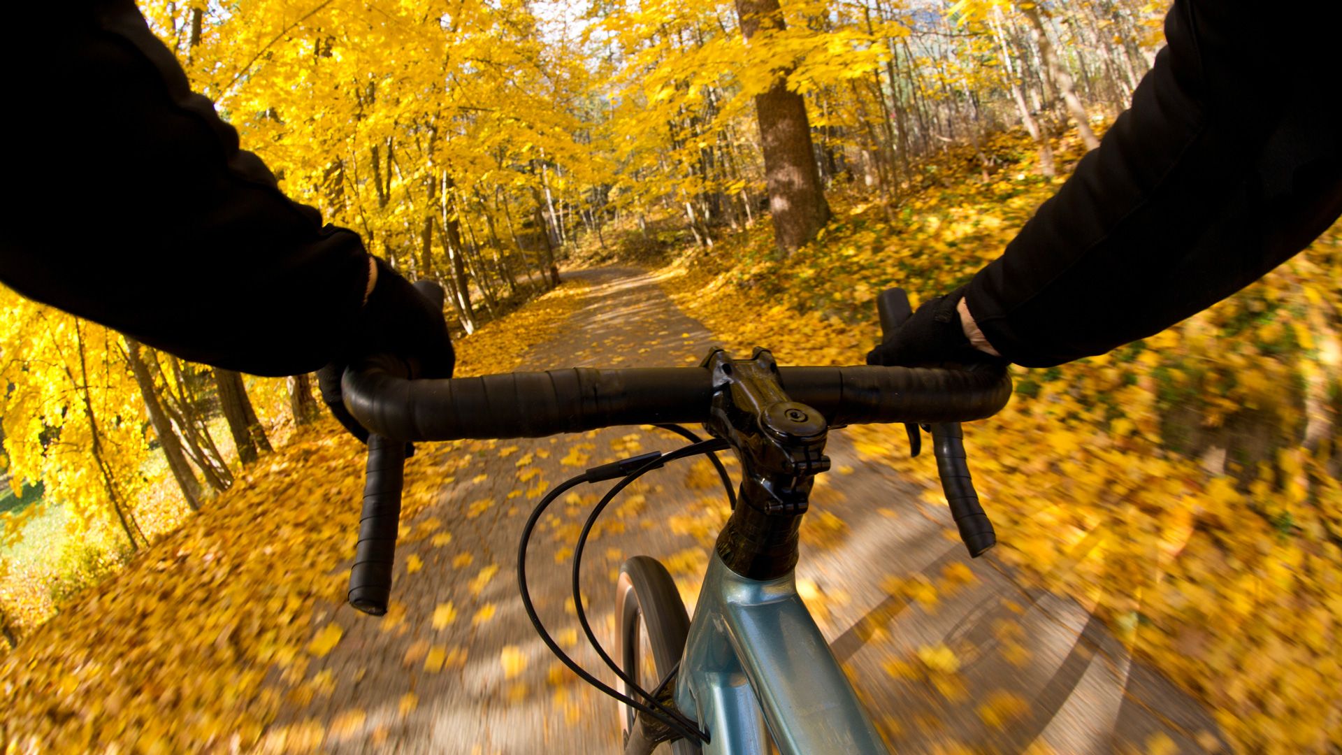 El ciclismo en otoño proporciona experiencias muy especiales (Foto: iStock)