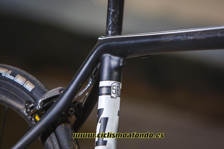 Cannondale Synapse