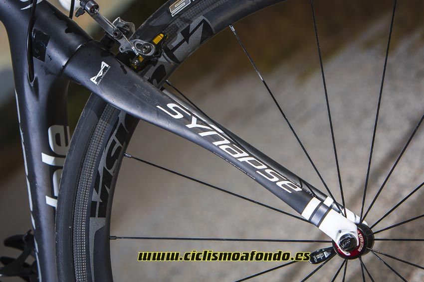 Cannondale Synapse