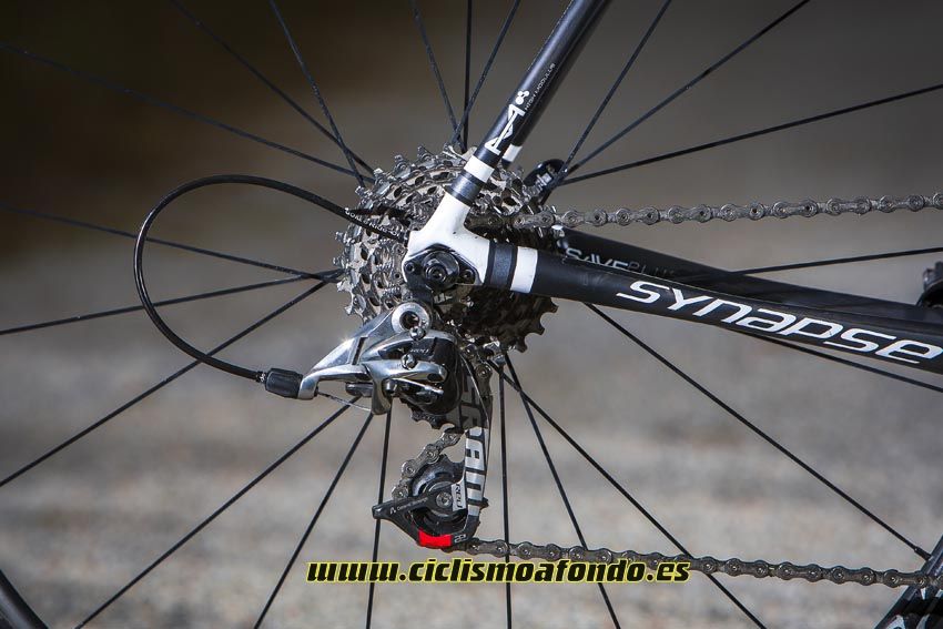Cannondale Synapse