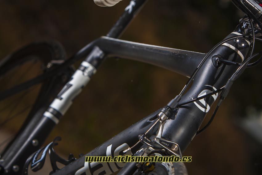 Cannondale Synapse
